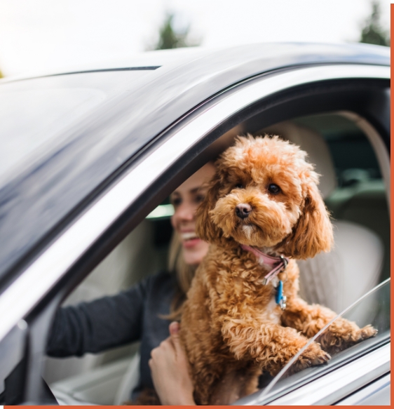 Pulte Insurance Agency